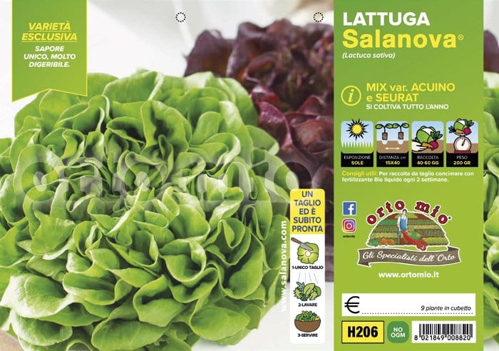 Lattuga salanova mix a foglia liscia Acuino e Seurat - Vaschetta 9 piante - Orto Mio Orto Mio (2495151)
