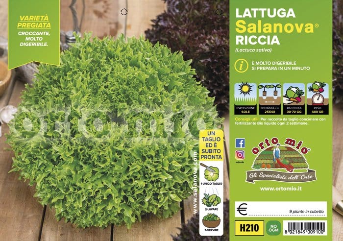 Vendita Piantine da Orto online: Consegna a Casa in tutta Italia