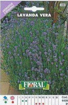 Lavanda Vera - Busta Sementi Aromatica Fioral (2495175)