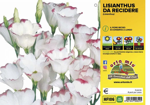 Lisianthus da recidere - 4 piante - Orto Mio Orto Mio (2495284)