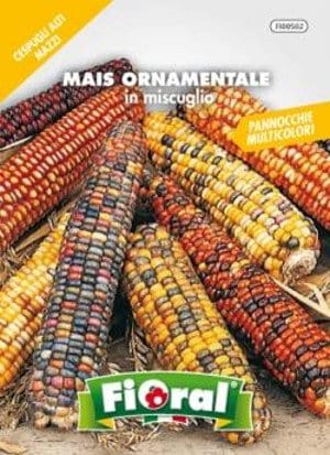 Mais Ornamentale in Mix - Semi da fiore - Fioral Fioral (2495377)