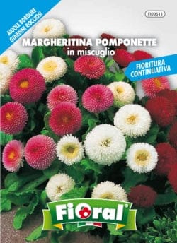 Margheritina Pomponette - Miscuglio in busta L'Ortolano