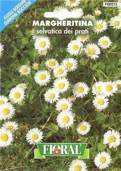 Margheritina Selvatica dei Prati - Fioral Fioral (2495507)