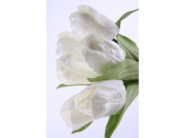 Mazzo di tulipani mini - 23 cm Bianco Blumissima