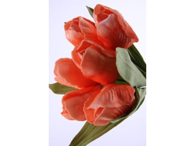 Mazzo di tulipani mini - 23 cm Corallo Blumissima