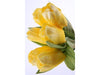 Mazzo di tulipani mini - 23 cm Giallo Blumissima