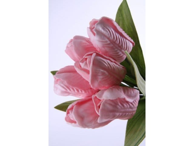 Mazzo di tulipani mini - 23 cm Rosa Blumissima