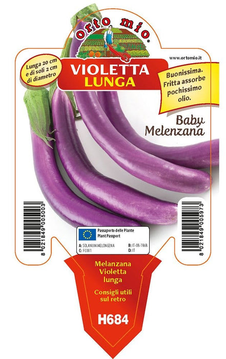 Melanzana baby melanzana Violetta lunga F1 (tipo perlina) -1 pianta vaso 10 cm - Orto Mio Orto Mio (2495567)