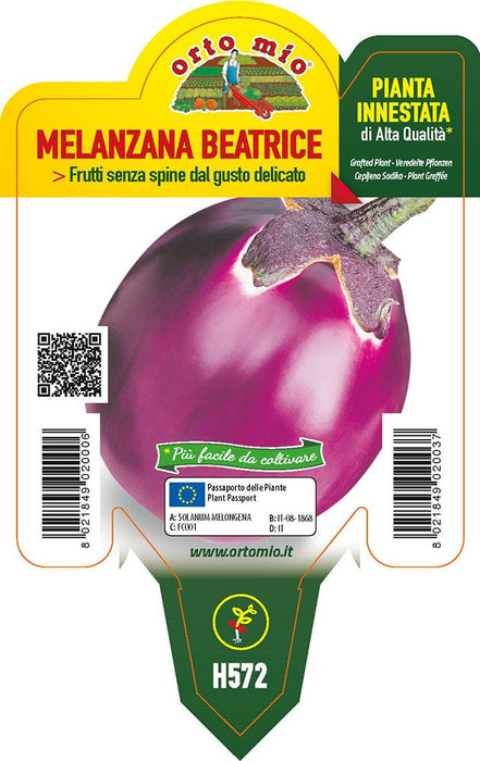 Melanzana Lilla Beatrice F1 - 1 pianta innestata v.10 cm - Orto Mio Orto Mio (2495571)