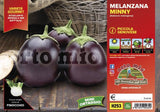 Melanzana piccola Genovese Minny F1 - 6 piante - Orto Mio Orto Mio (2495580)