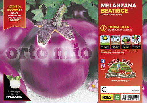 Melanzana tonda lilla Beatrice F1  - 6 piante - Orto Mio Orto Mio (2495583)