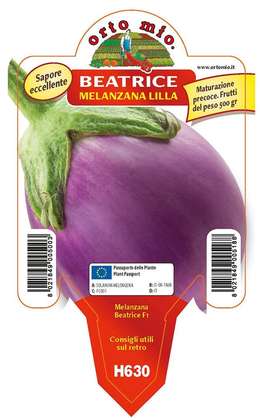 Melanzana tonda lilla Beatrice F1 - vaso da 10 cm - Orto Mio Orto Mio (2495585)
