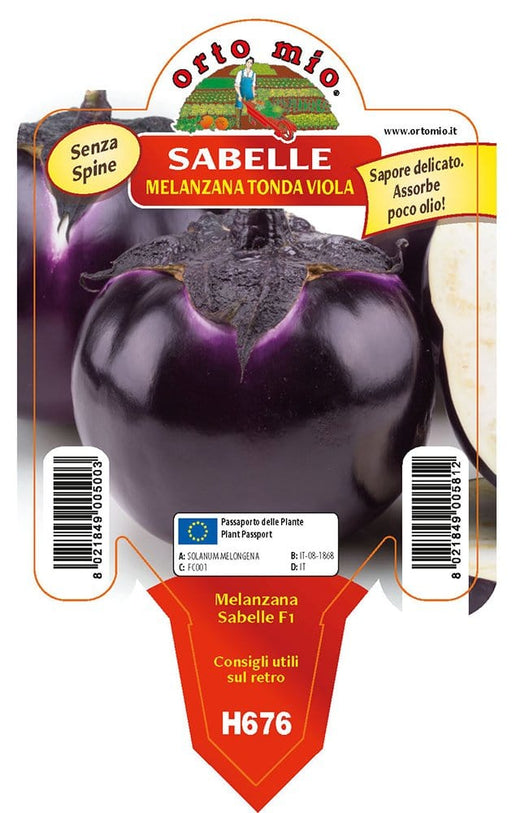 Melanzana tonda viola Sabelle F1 - 1 pianta vaso 10 cm - Orto Mio Orto Mio (2495588)