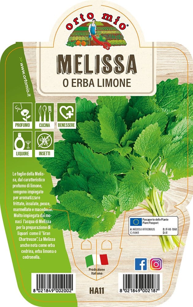 Melissa o Erba Limone - 1 pianta v.14 cm - Orto Mio Orto Mio (2495590)