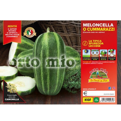 Meloncella (Spuredda o Carosello Cummarazzi) - 4 piante doppie - Orto Mio Orto Mio (2495603)