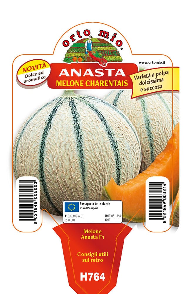 Melone cantalupo di Charentais Anasta f1 - 1 pianta v.10 cm - Orto Mio Orto Mio