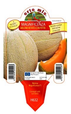 Melone retato con fetta Magnificenza F1 - 1 pianta v. 10 cm - Orto Mio Orto Mio (2495613)