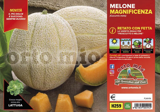 Melone retato con fetta Magnificenza F1 - 4 piante - Orto Mio Orto Mio (2495614)