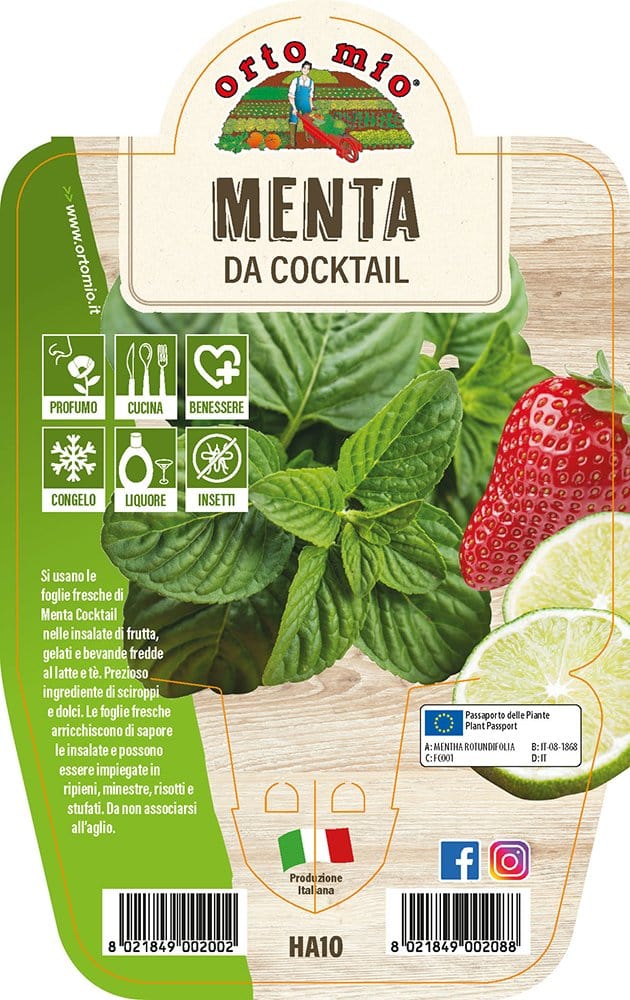 Menta da Cocktail - 1 panta v14.cm - Orto Mio Orto Mio (2495669)