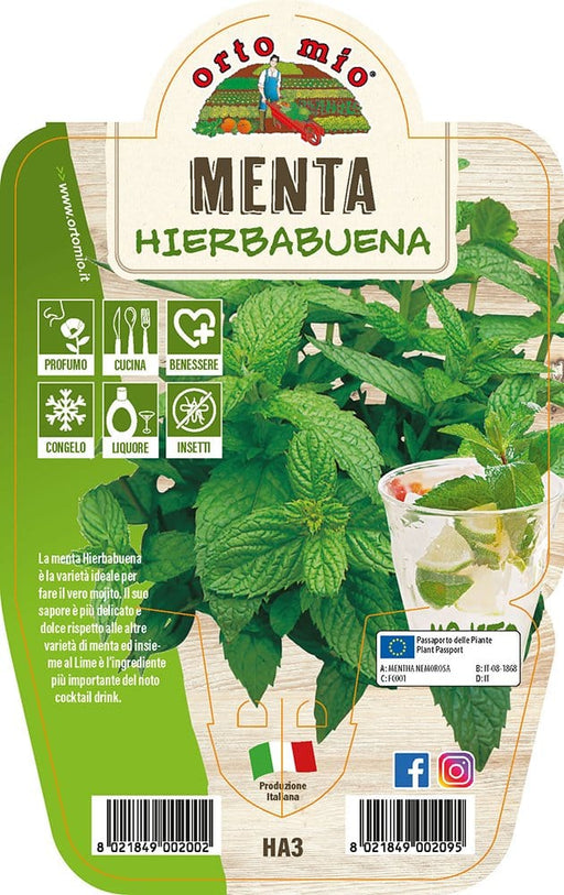 Menta Hierbabuena - 1 pianta v.14 cm - Orto Mio Orto Mio (2495670)