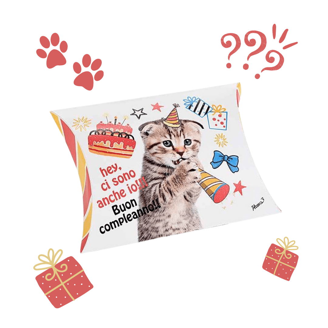 Mini Box Regalo Gatto - Buon Compleanno MillStore