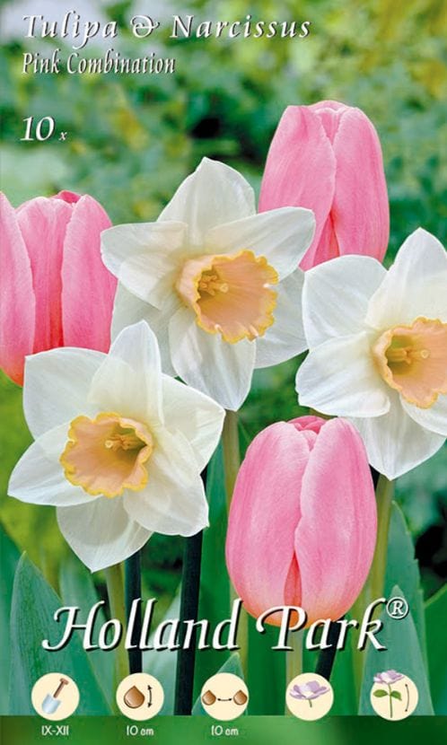 Miscela Tulipani Rosa e Narcisi Bianchi - 10 bulbi Fioral (2495702)