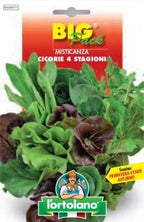 Misticanza 4 Stagioni di Cicorie e Lattughe - Big Pack - L'Ortolano L'Ortolano (2495707)