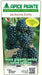 Mora dei Giardini Chester Tardiva Senza Spine - V. 18 x 13 x 13 cm - Apice Piante Apice piante (2495795)