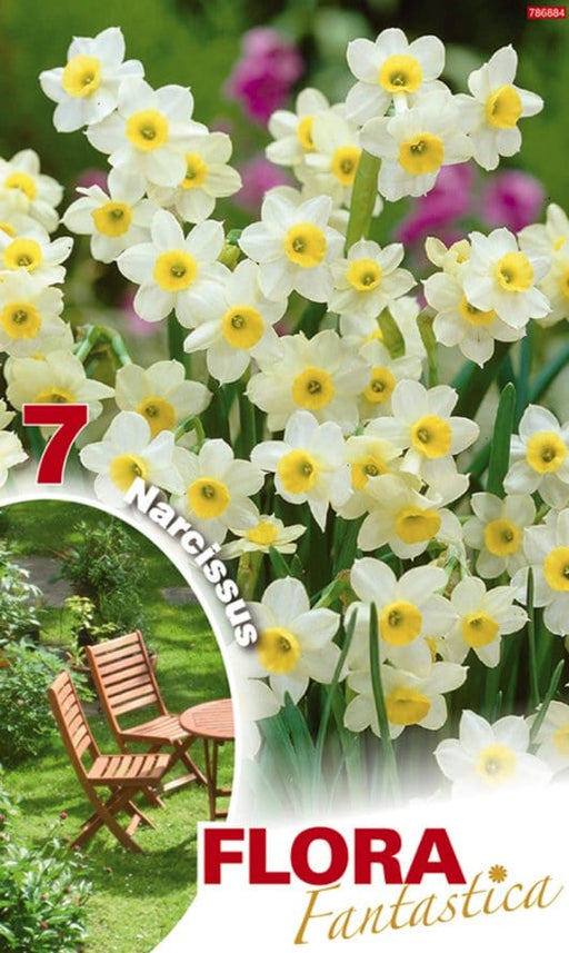 Narciso Botanici Bianco - Giallo - Confezione da 7 bulbi Fioral (2495858)