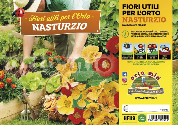 Nasturzio Fiore utile - 4 piante - Orto Mio Orto Mio (2495886)