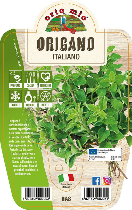 Origano - 1 pianta v.14 cm - Orto Mio Orto Mio (2496410)