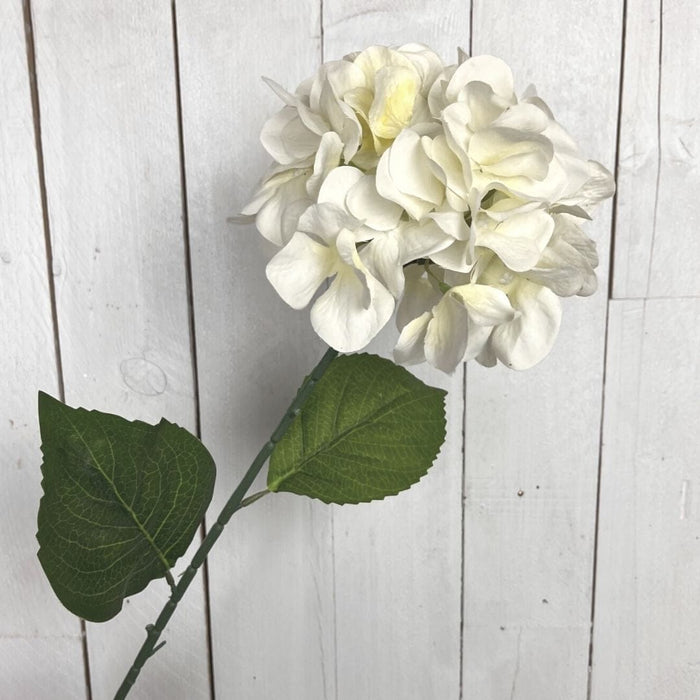 Ortensia decorativa - 68 cm Bianco Blumissima
