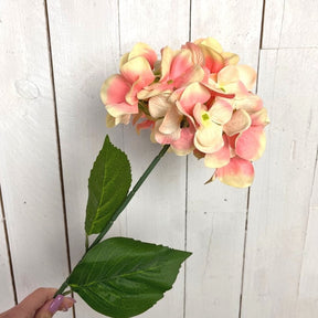 Ortensia decorativa - 68 cm Rosa Blumissima (2496414)