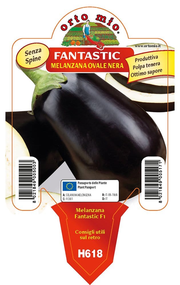 Orto Mio Melanzana Tonda Nera Fantastic F1 - Vaso 10 cm - Orto Mio Orto Mio (2496417)