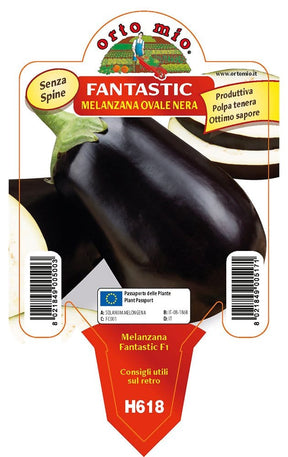Orto Mio Melanzana Tonda Nera Fantastic F1 - Vaso 10 cm - Orto Mio Orto Mio (2496417)