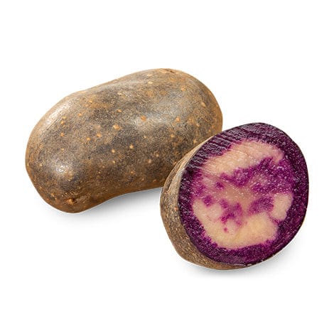 Patate da Semina Originali Olandesi 2,5 kg Rosse, Viola