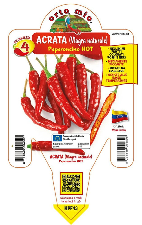 Peperoncino piccante HOT Acrata o Viagra Naturale - Vaso Cm.14 - Orto Mio Orto Mio (2496656)