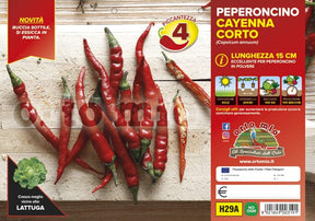 Peperoncino piccante HOT Cayenna corto Cheyenne F1 - 6 piante - Orto Mio Orto Mio (2496659)