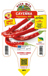 Immagine illustrativa: Peperoncino piccante lungo Pierino F1. La pianta ricevuta può avere dimensioni e sviluppo diversi.
