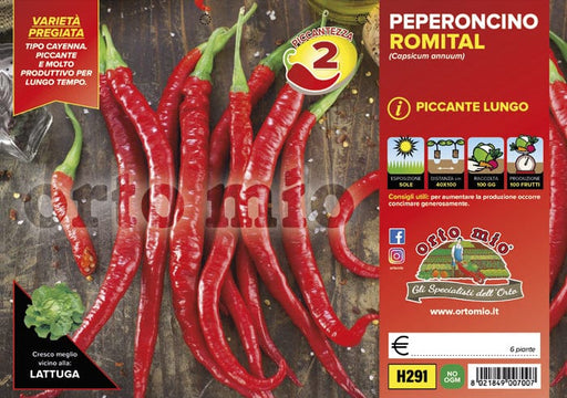 Peperoncino piccante HOT Cayenna lungo - 6 piante - Orto Mio Orto Mio (2496661)