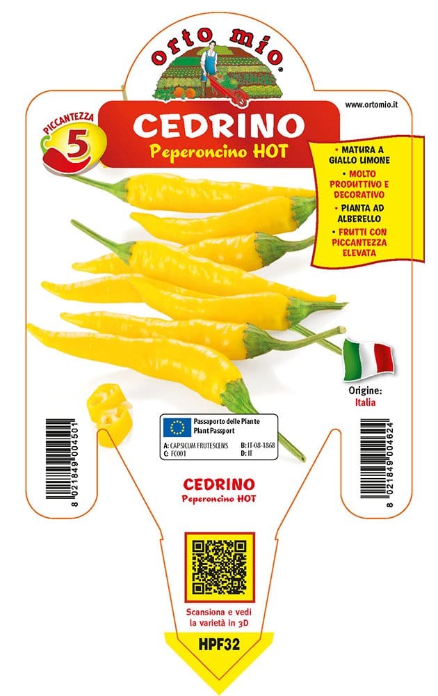 Peperoncino piccante HOT Cedrino - 1 Pianta v.14 cm - Orto Mio Orto Mio (2496662)