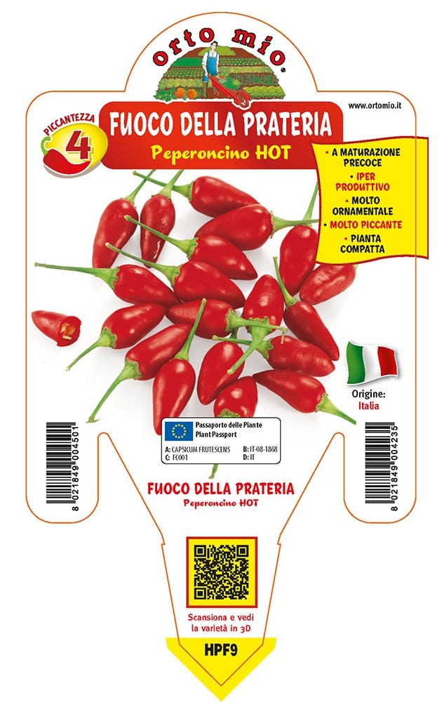 Peperoncino piccante HOT Fuoco della prateria - 1 pianta v.14 cm - Orto Mio Orto Mio (2496663)