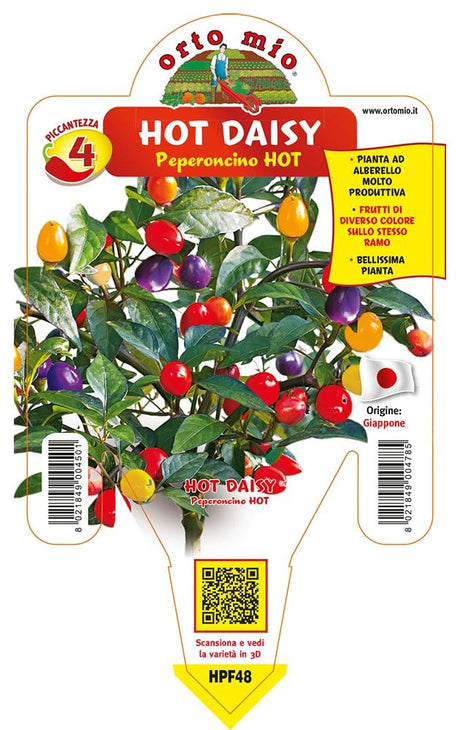 Peperoncino piccante HOT Hot Daisy CAP 1546 - 1 pianta v.14 cm - Orto Mio Orto Mio (2496664)