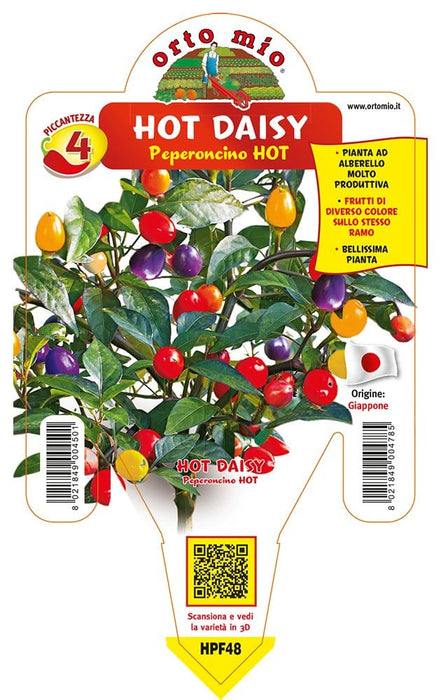 Peperoncino piccante HOT Hot Daisy CAP 1546 - 1 pianta v.14 cm - Orto Mio Orto Mio (2496664)