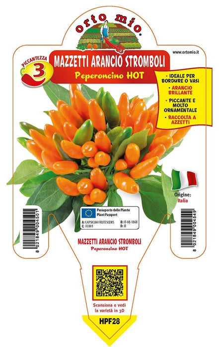 Peperoncino piccante HOT mazzetti arancio Stromboli - 1 pianta v.14 cm - Orto Mio Orto Mio (2496665)