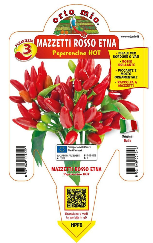 Peperoncino piccante HOT mazzetti rosso Etna - 1 pianta v.14 cm - Orto Mio Orto Mio (2496666)