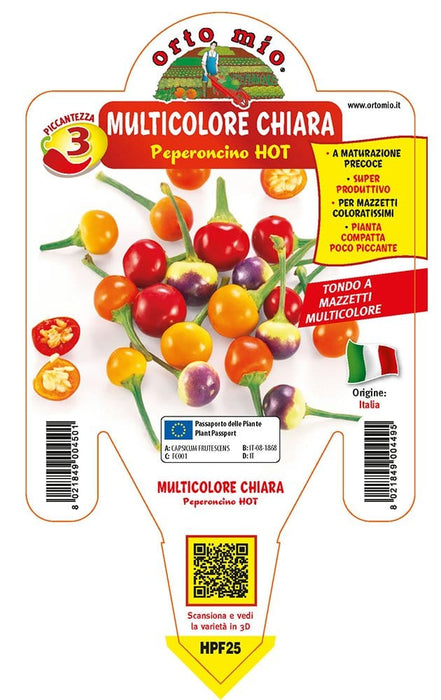 Peperoncino piccante HOT multicolore chiara tondo - 1 pianta v.14 cm - Orto Mio Orto Mio (2496668)