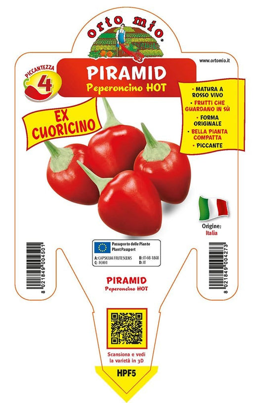 Peperoncino piccante HOT Piramid (ex Cuoricino) - 1 pianta vaso 14 cm - Orto Mio Orto Mio (2496671)