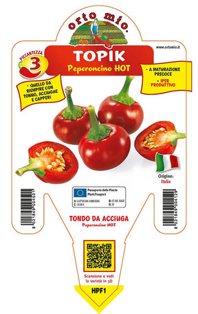Peperoncino piccante HOT tondo da acciuga Topik F1 - 1 pianta v.14 cm - Orto Mio Orto Mio (2496675)