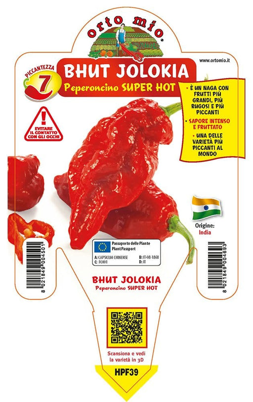 Peperoncino piccante SUPER HOT Bhut Jolokia (Big Naga Assam) - Pianta Vaso Cm.14 - Orto Mio Orto Mio (2496679)